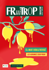 Miniature du magazine Magazine FruiTrop n°290 (mardi 12 décembre 2023)
